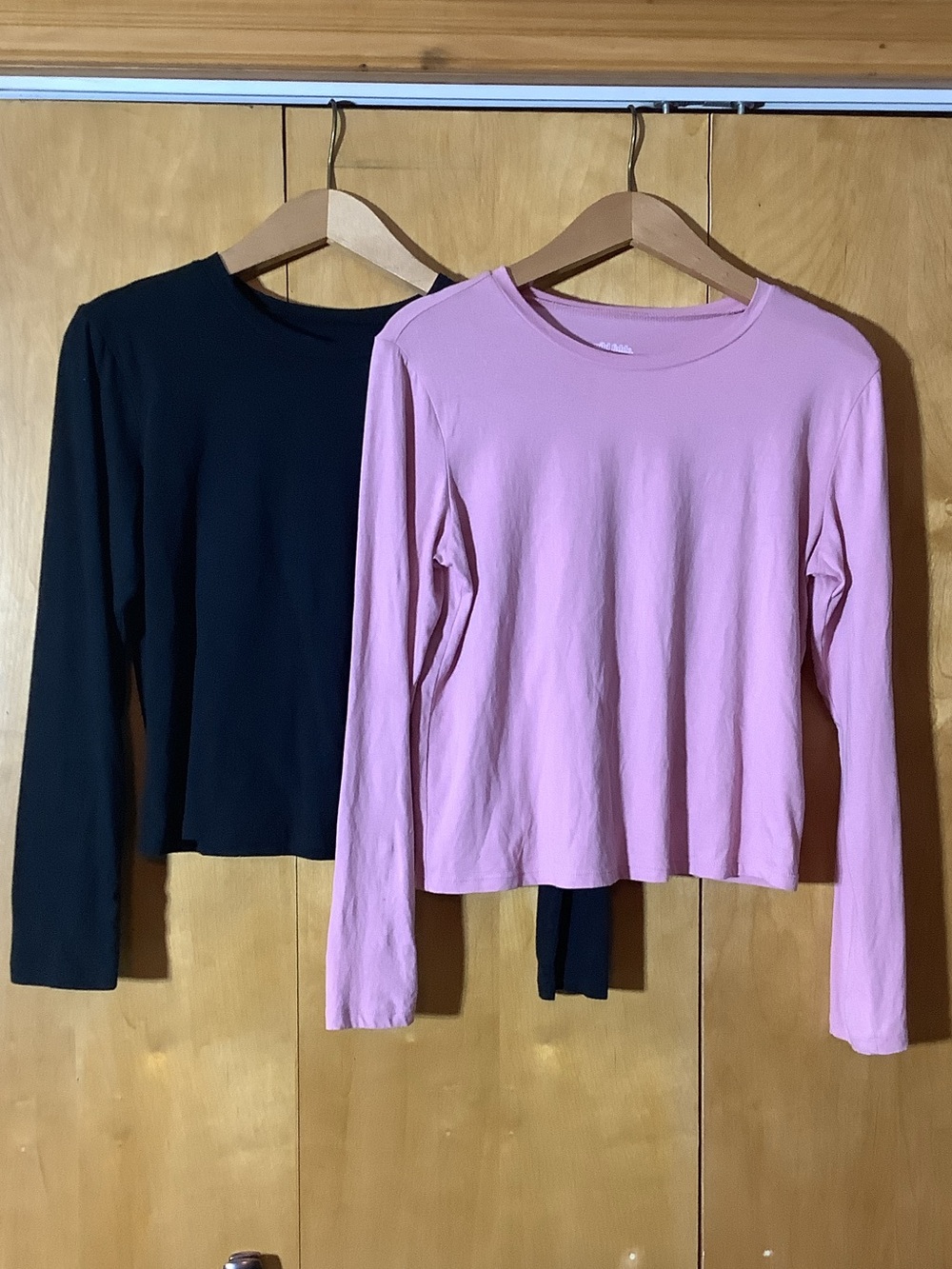 Lot of two Wild Fable long sleeved tees, size medium